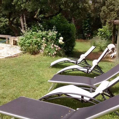 Bed and Breakfast La Bousquatiere Piolenc Zewnętrze zdjęcie
