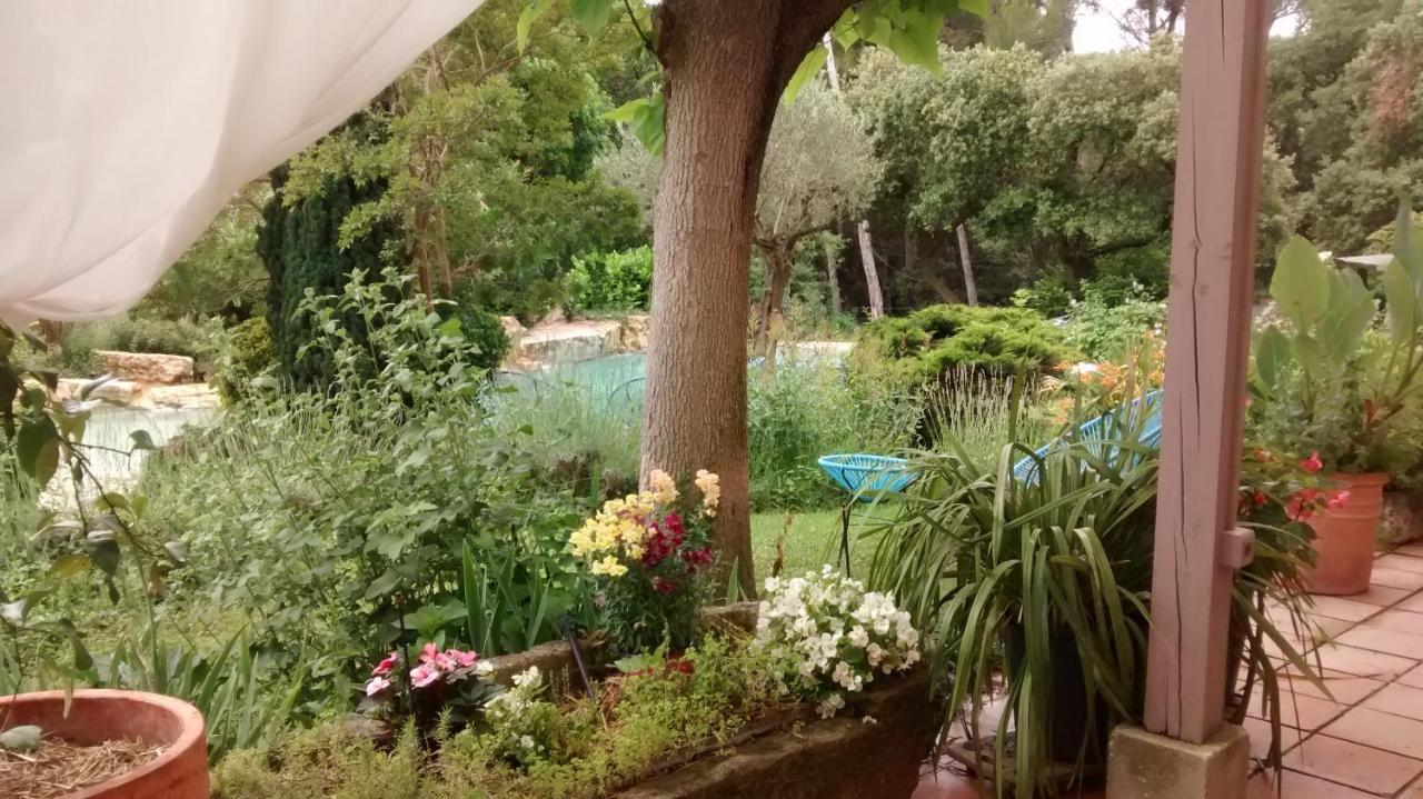 Bed and Breakfast La Bousquatiere Piolenc Zewnętrze zdjęcie