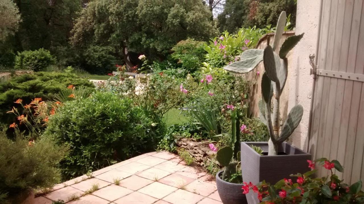 Bed and Breakfast La Bousquatiere Piolenc Zewnętrze zdjęcie