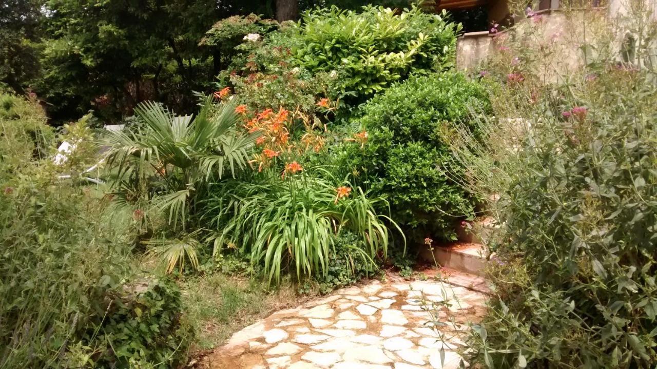 Bed and Breakfast La Bousquatiere Piolenc Zewnętrze zdjęcie