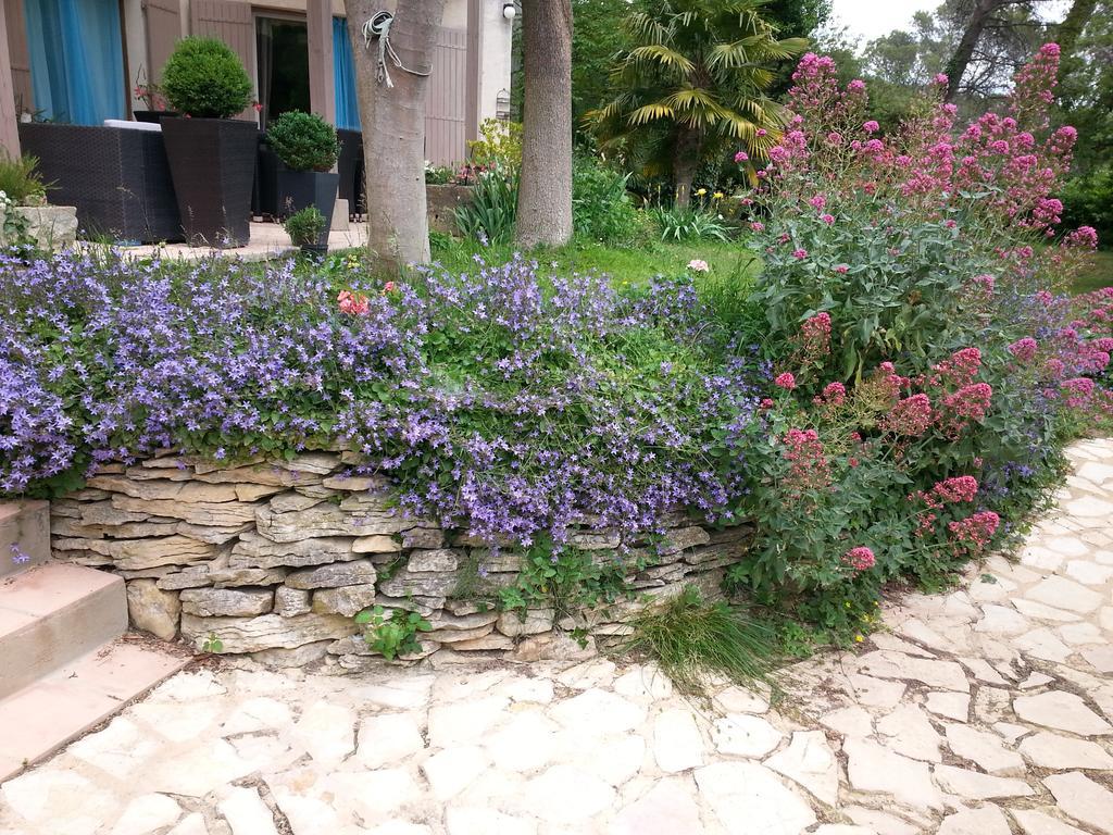 Bed and Breakfast La Bousquatiere Piolenc Zewnętrze zdjęcie